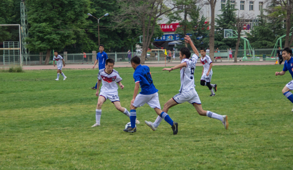 和赛况预测 和赛况预测